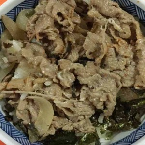 beef rice bowl recipe2