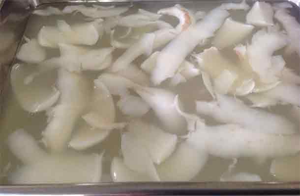 Coconut Jelly or Coconut Agar Agar Recipe  FoodClappers