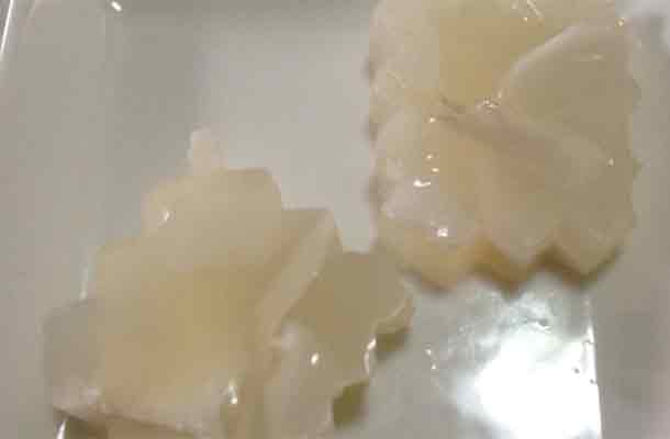 coconut jelly agar agar