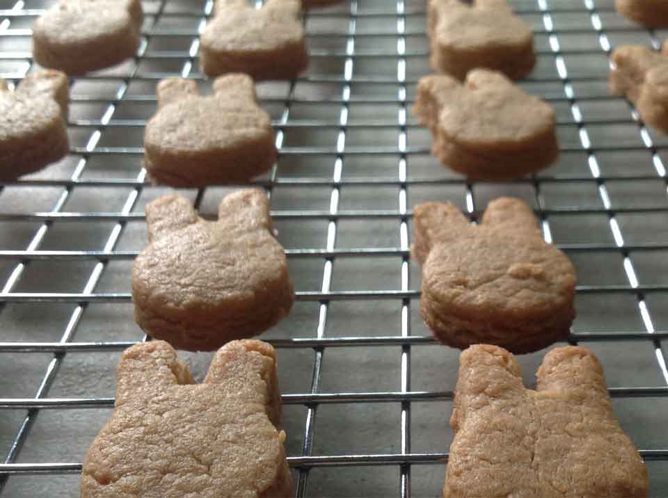 peanut butter cookies rabbit mould
